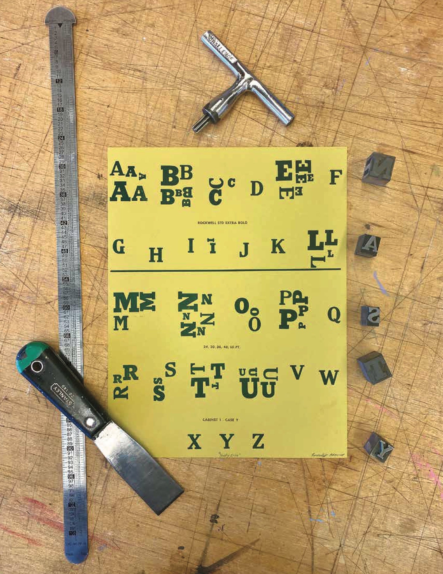 Nasty Case - Type Specimen Print